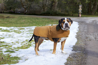 Carhartt | Dog Chore Coat